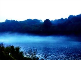 A foggy evening by the Delaware river a #photo collection #iphoneography #photography